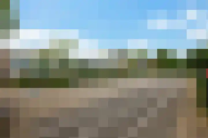 Slochterwaard 2 Alkmaar thumbnail 24