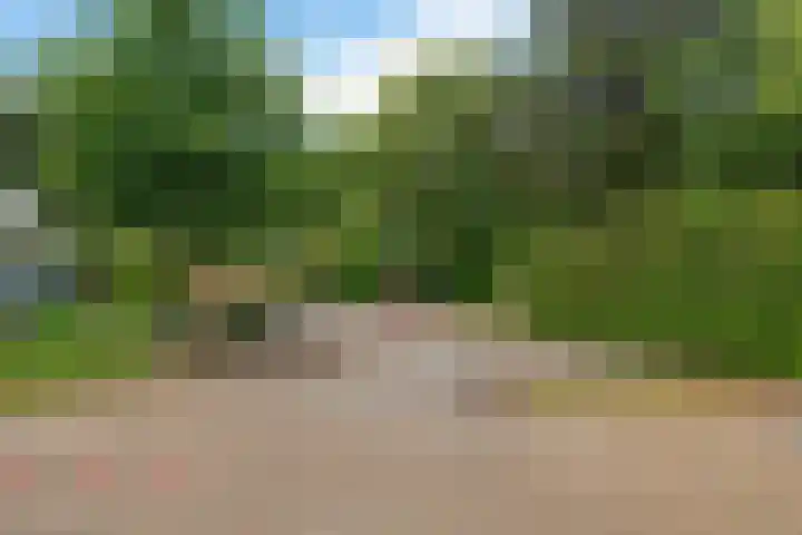Slochterwaard 2 Alkmaar thumbnail 25