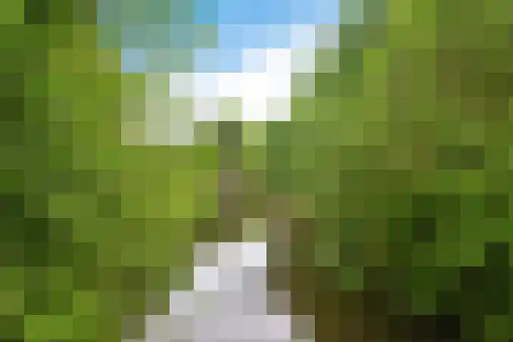 Slochterwaard 2 Alkmaar thumbnail 26