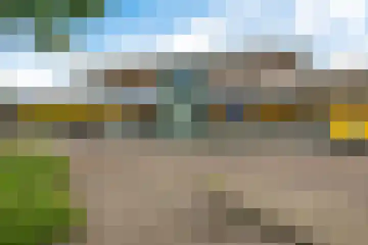 Slochterwaard 2 Alkmaar thumbnail 27