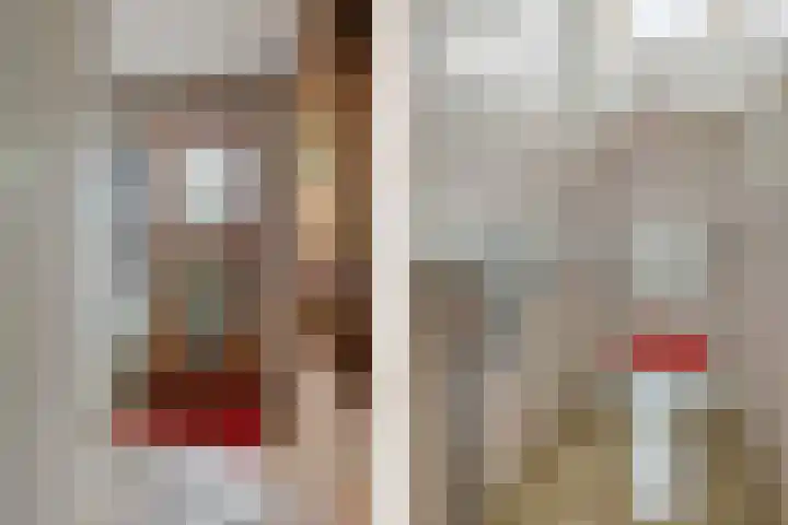 Slochterwaard 2 Alkmaar thumbnail 5