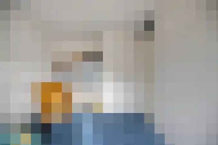 Slochterwaard 22 Alkmaar thumbnail 18