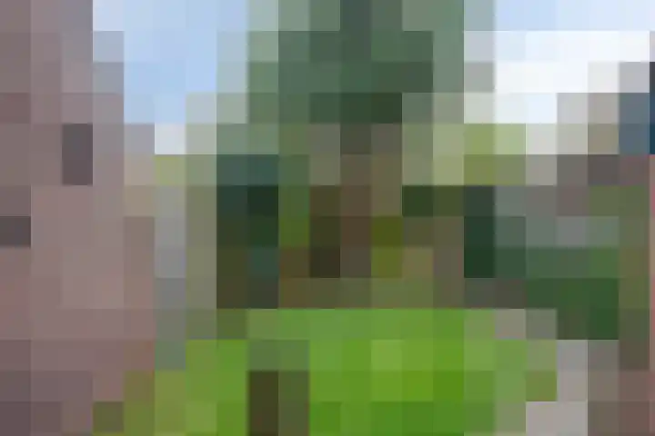 Slochterwaard 22 Alkmaar thumbnail 30