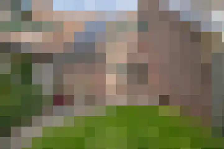Slochterwaard 22 Alkmaar thumbnail 34