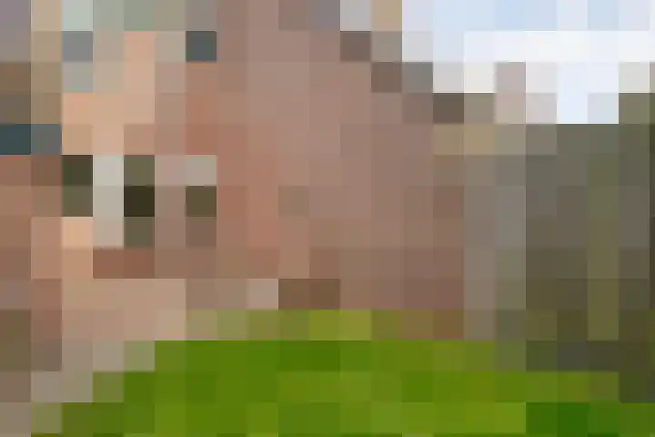 Slochterwaard 22 Alkmaar thumbnail 35