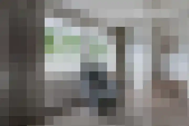 Slochterwaard 249 Alkmaar thumbnail 31