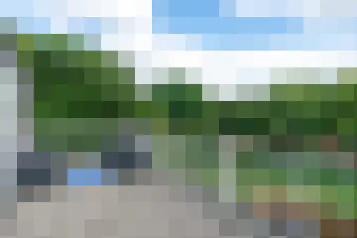 Slochterwaard 249 Alkmaar thumbnail 41