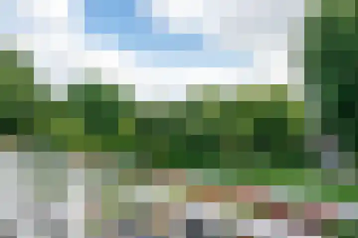 Slochterwaard 249 Alkmaar thumbnail 42