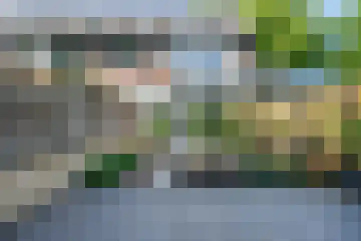 Slochterwaard 249 Alkmaar thumbnail 45