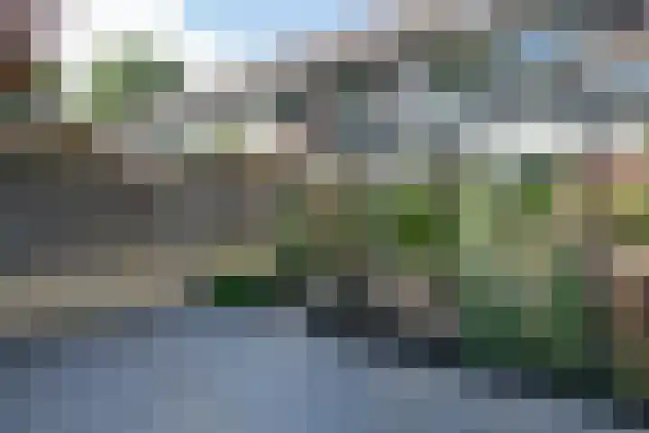 Slochterwaard 249 Alkmaar thumbnail 46