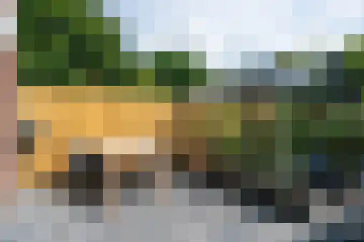 Slochterwaard 249 Alkmaar thumbnail 49