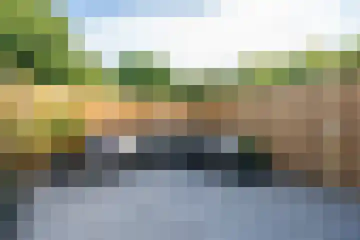 Slochterwaard 249 Alkmaar thumbnail 51