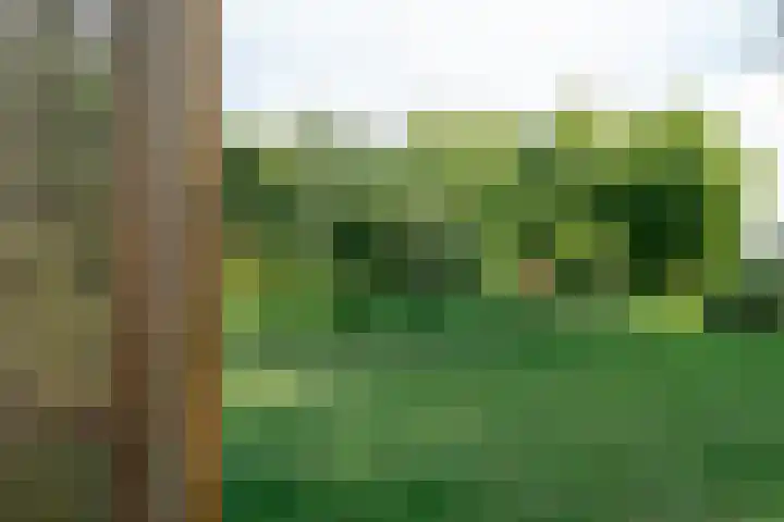 Slochterwaard 249 Alkmaar thumbnail 53