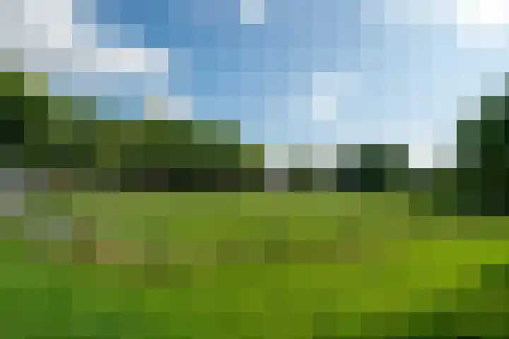 Slochterwaard 249 Alkmaar thumbnail 54