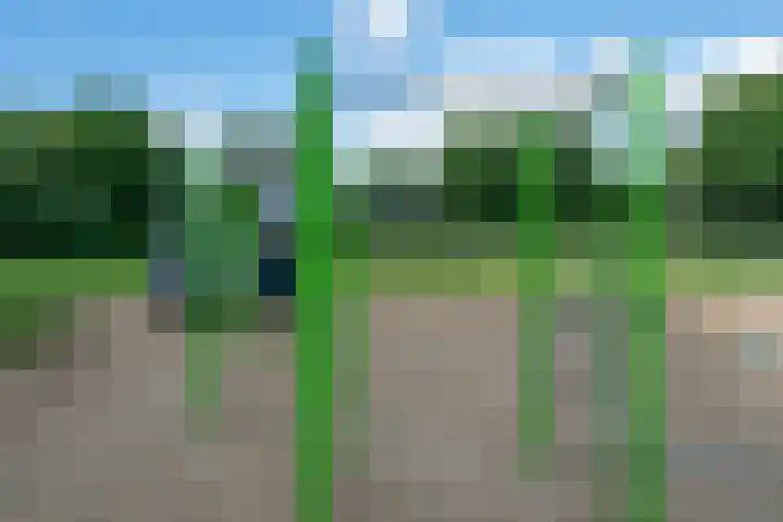 Slochterwaard 249 Alkmaar thumbnail 57