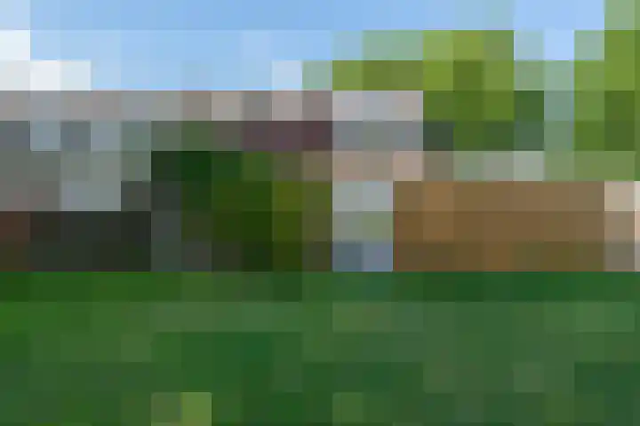 Slochterwaard 249 Alkmaar thumbnail 62
