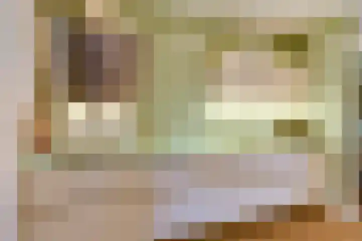 Sloe 1 Deurne thumbnail 11