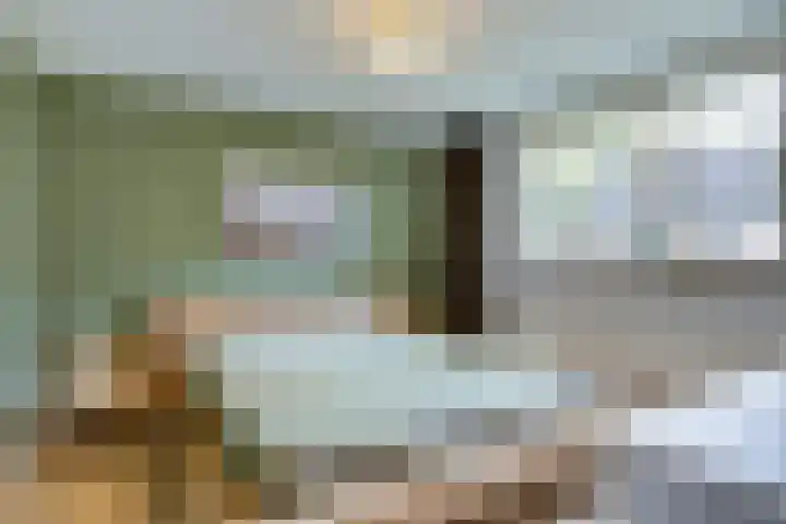 Sloe 1 Deurne thumbnail 16