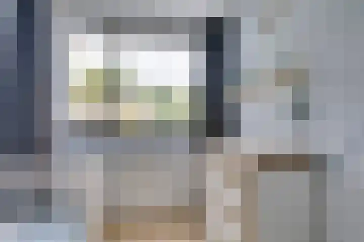 Sloe 1 Deurne thumbnail 18