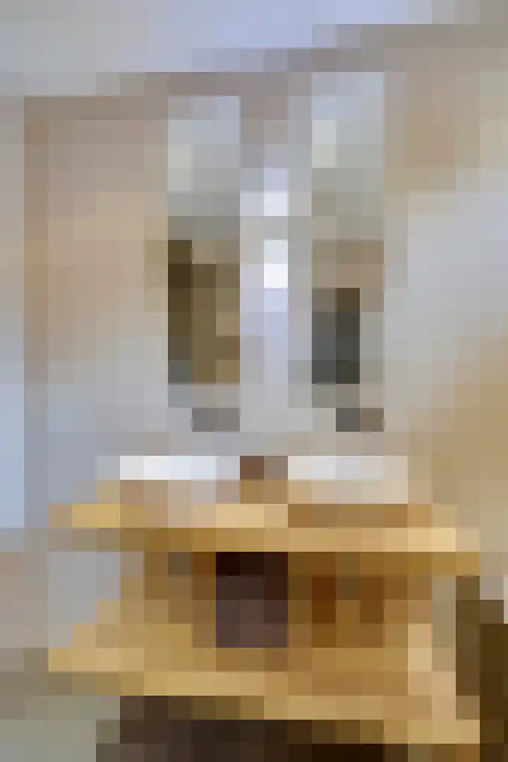 Sloe 1 Deurne thumbnail 21