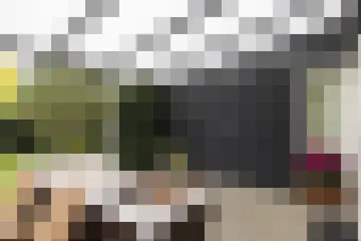 Sloe 1 Deurne thumbnail 26
