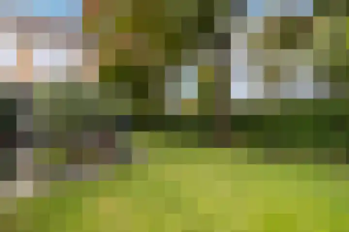 Sloe 1 Deurne thumbnail 27
