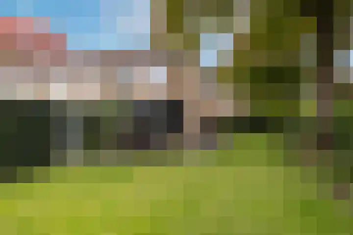 Sloe 1 Deurne thumbnail 28