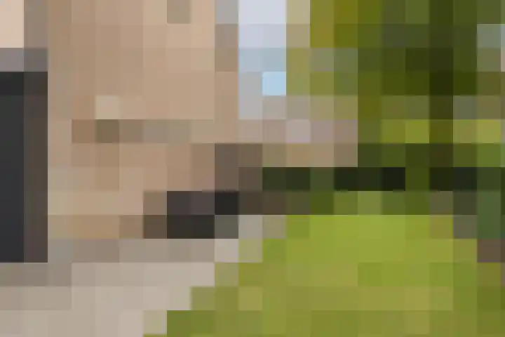 Sloe 1 Deurne thumbnail 29