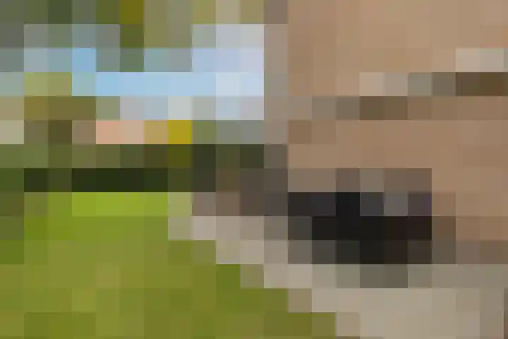 Sloe 1 Deurne thumbnail 30