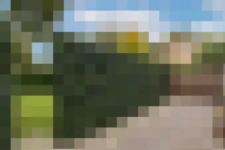 Sloe 1 Deurne thumbnail 32