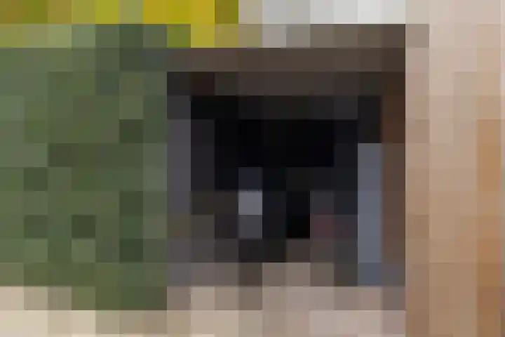 Sloe 1 Deurne thumbnail 33