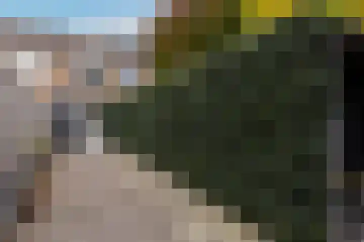 Sloe 1 Deurne thumbnail 34