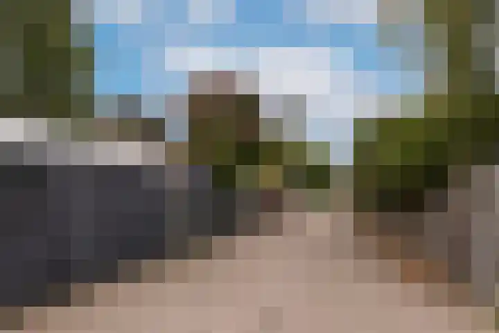 Sloe 1 Deurne thumbnail 35