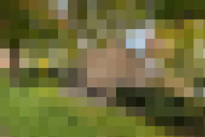 Sloe 1 Deurne thumbnail 36