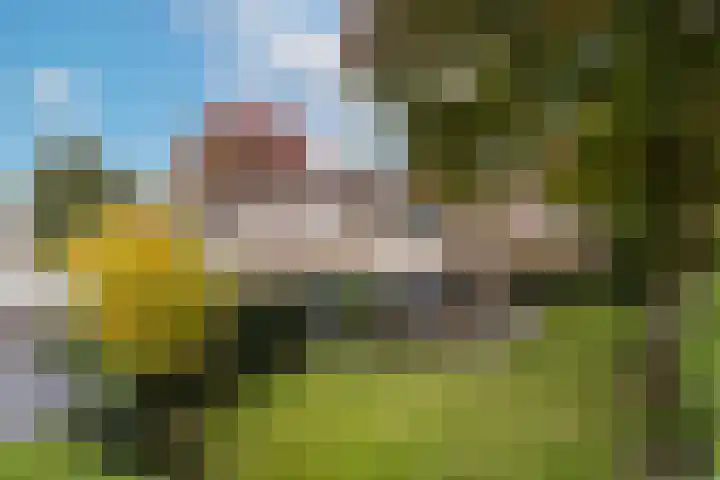 Sloe 1 Deurne thumbnail 37