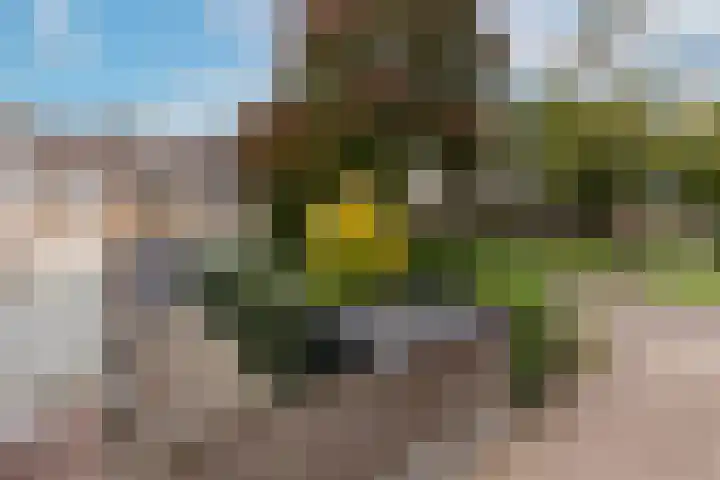 Sloe 1 Deurne thumbnail 38