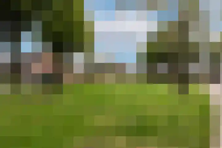 Sloe 1 Deurne thumbnail 39