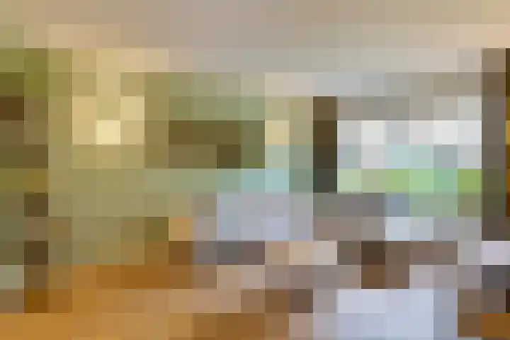 Sloe 1 Deurne thumbnail 4