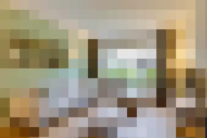 Sloe 1 Deurne thumbnail 5