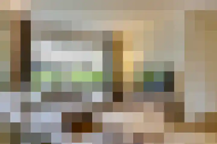 Sloe 1 Deurne thumbnail 6