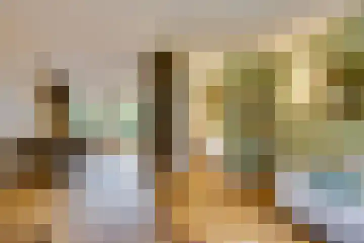 Sloe 1 Deurne thumbnail 7