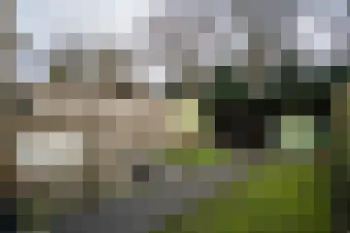 Sloe 14 Deurne thumbnail 23