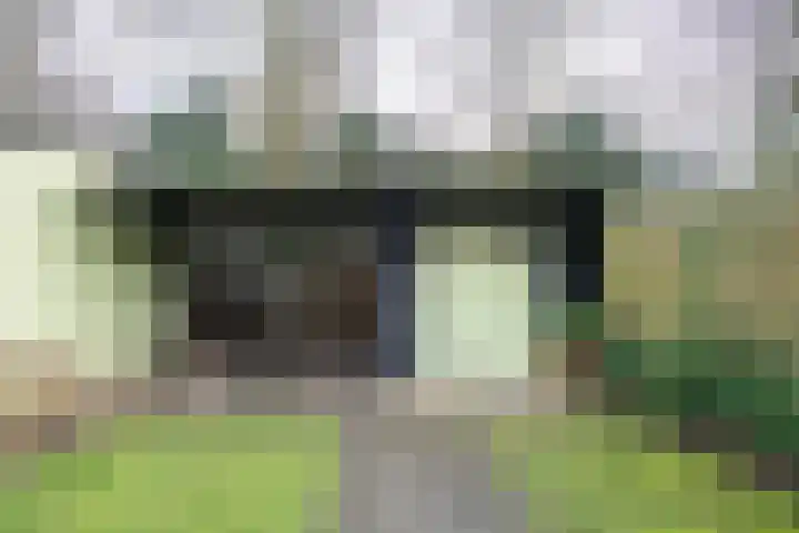 Sloe 14 Deurne thumbnail 24