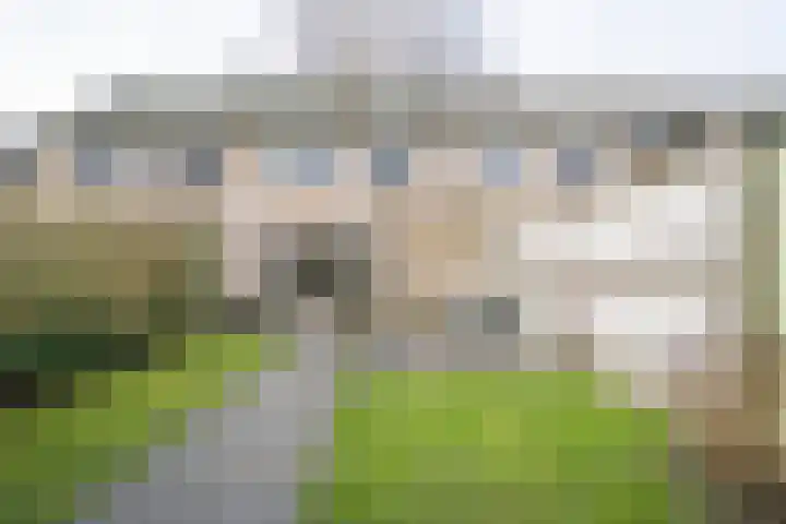 Sloe 14 Deurne thumbnail 26