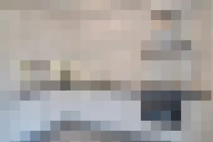 Sloe 14 Deurne thumbnail 8