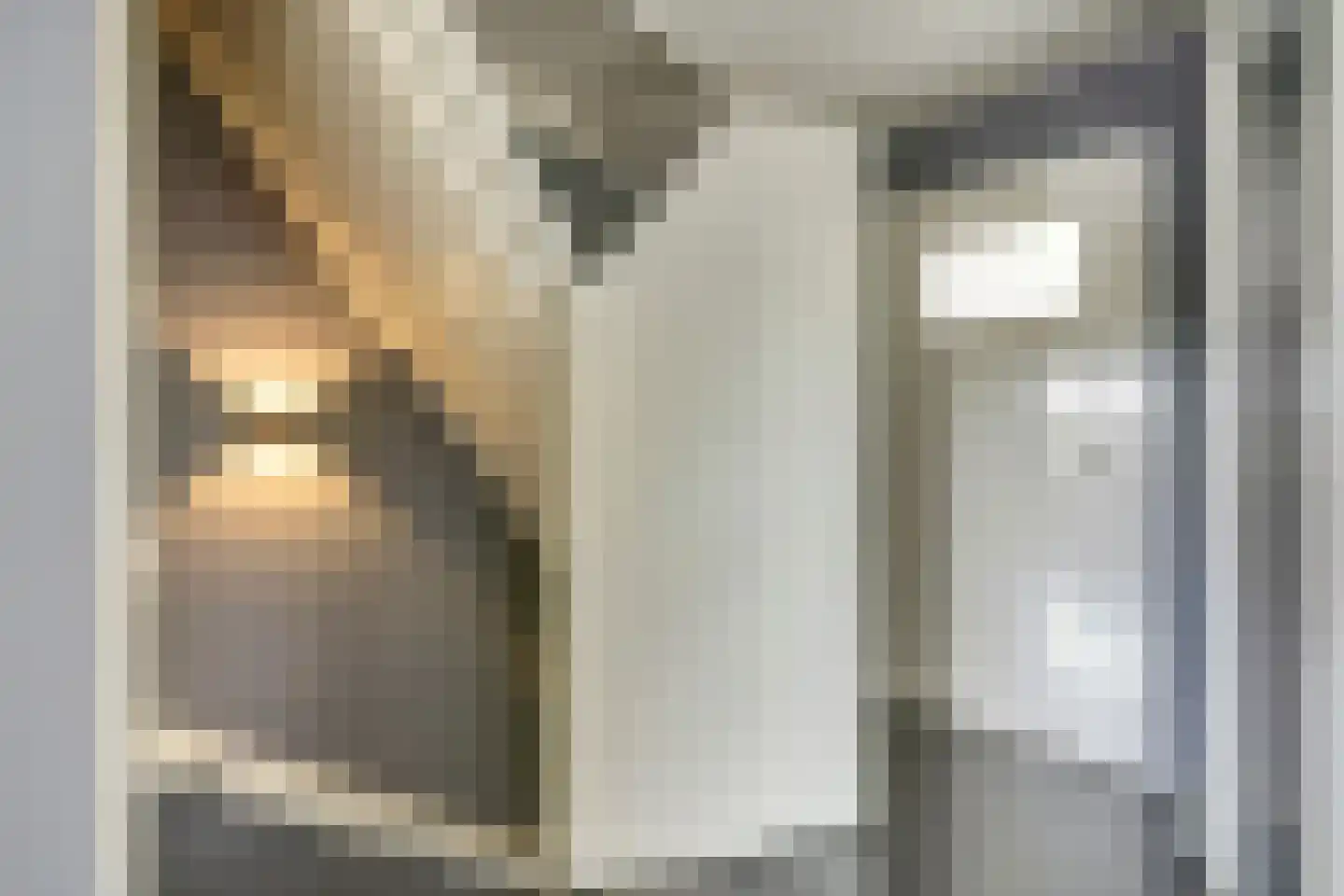 Sloehavenstraat 23 Nieuw- en Sint Joosland thumbnail 22