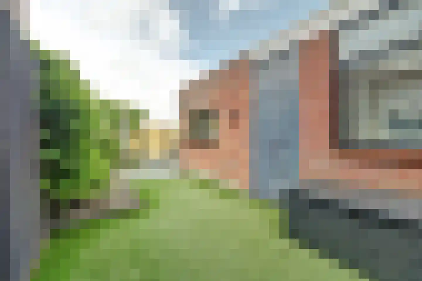 Sloehavenstraat 23 Nieuw- en Sint Joosland thumbnail 34
