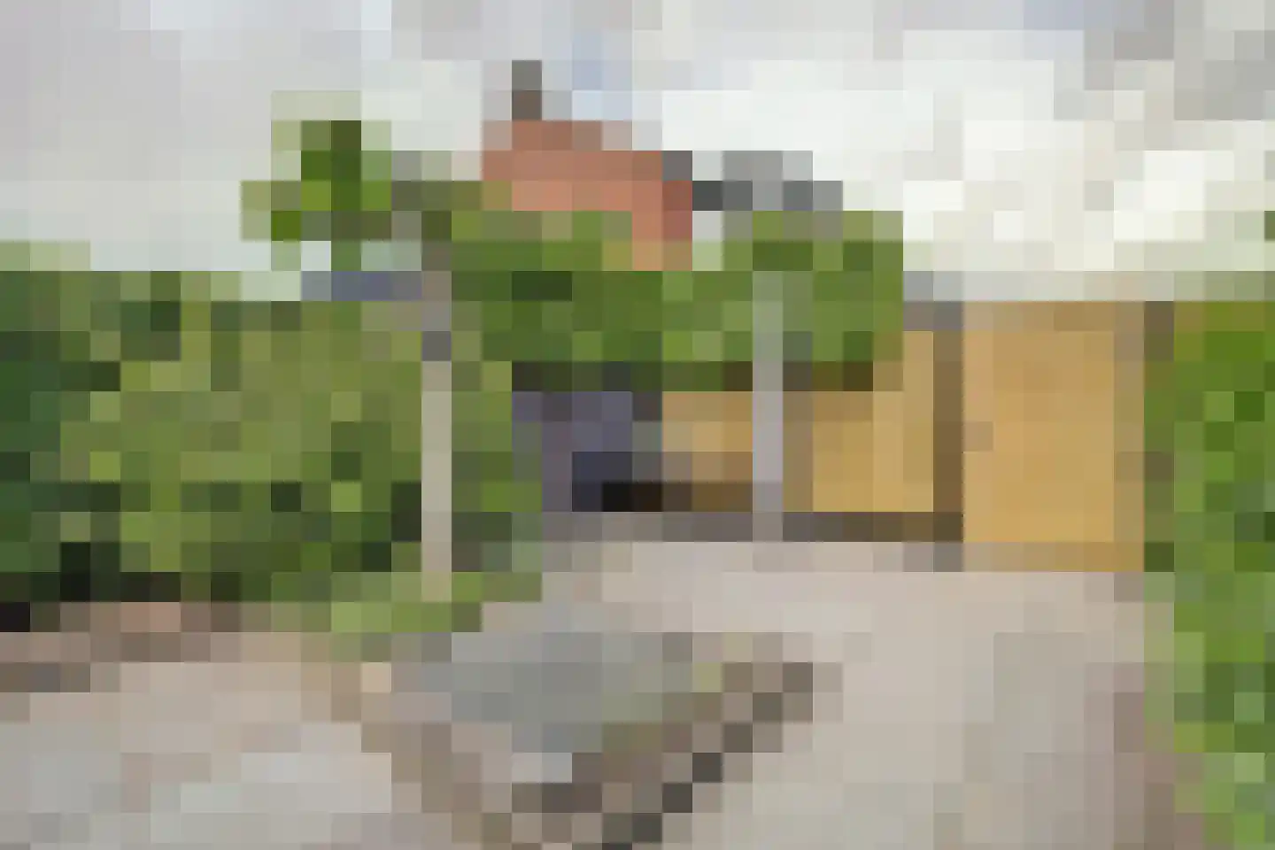 Sloehavenstraat 23 Nieuw- en Sint Joosland thumbnail 37