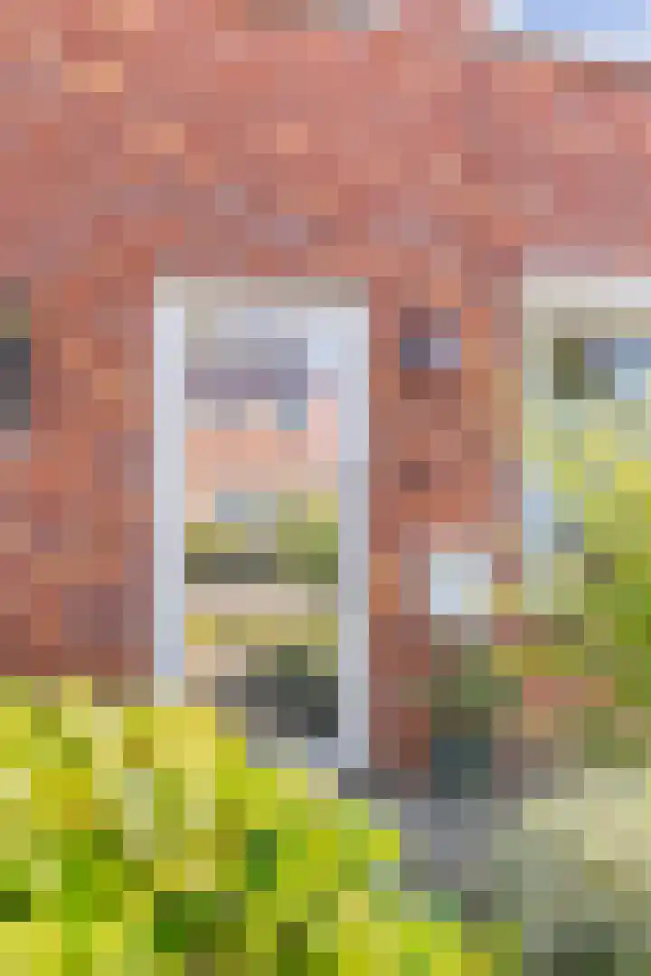Sloehavenstraat 25 Nieuw- en Sint Joosland thumbnail 6
