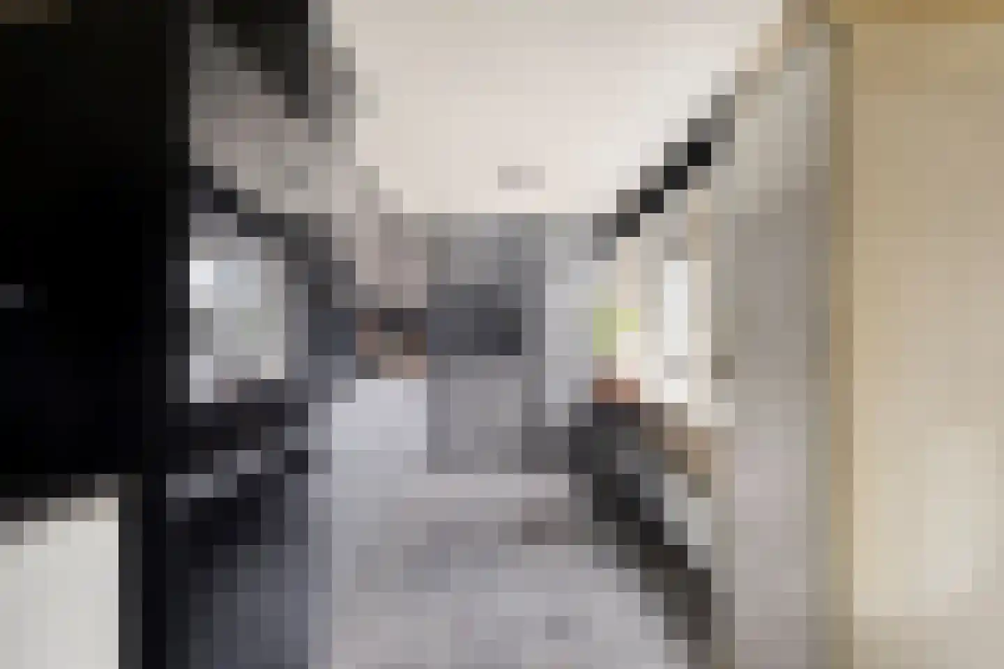 Sloelaan 1 Terneuzen thumbnail 10